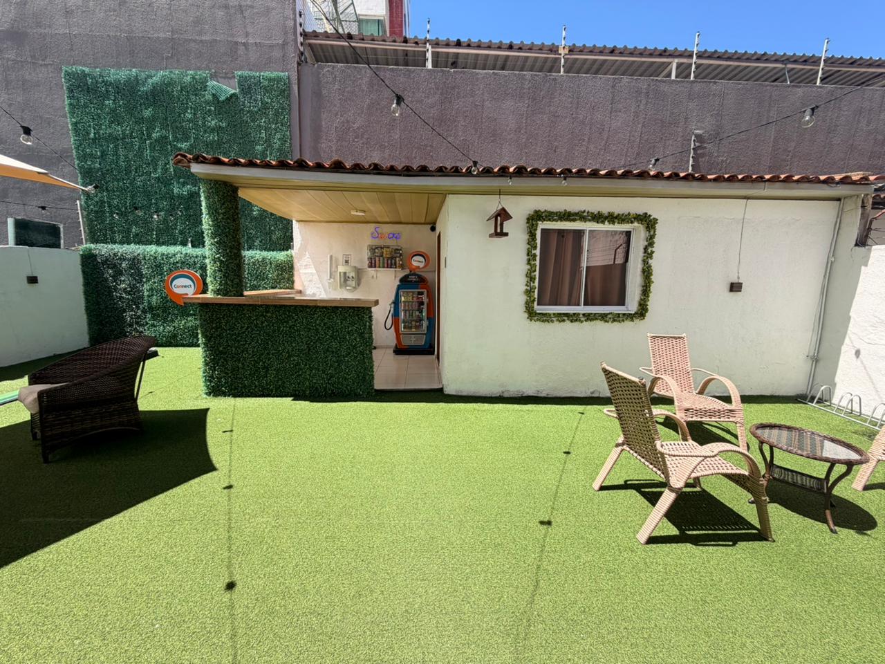 Jardim e área externa